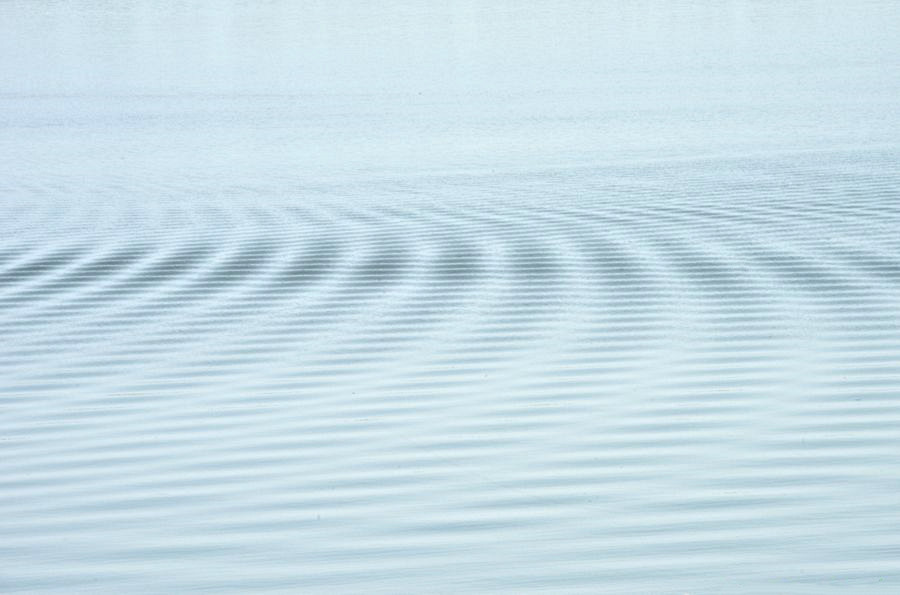 _DSC3761__.jpg