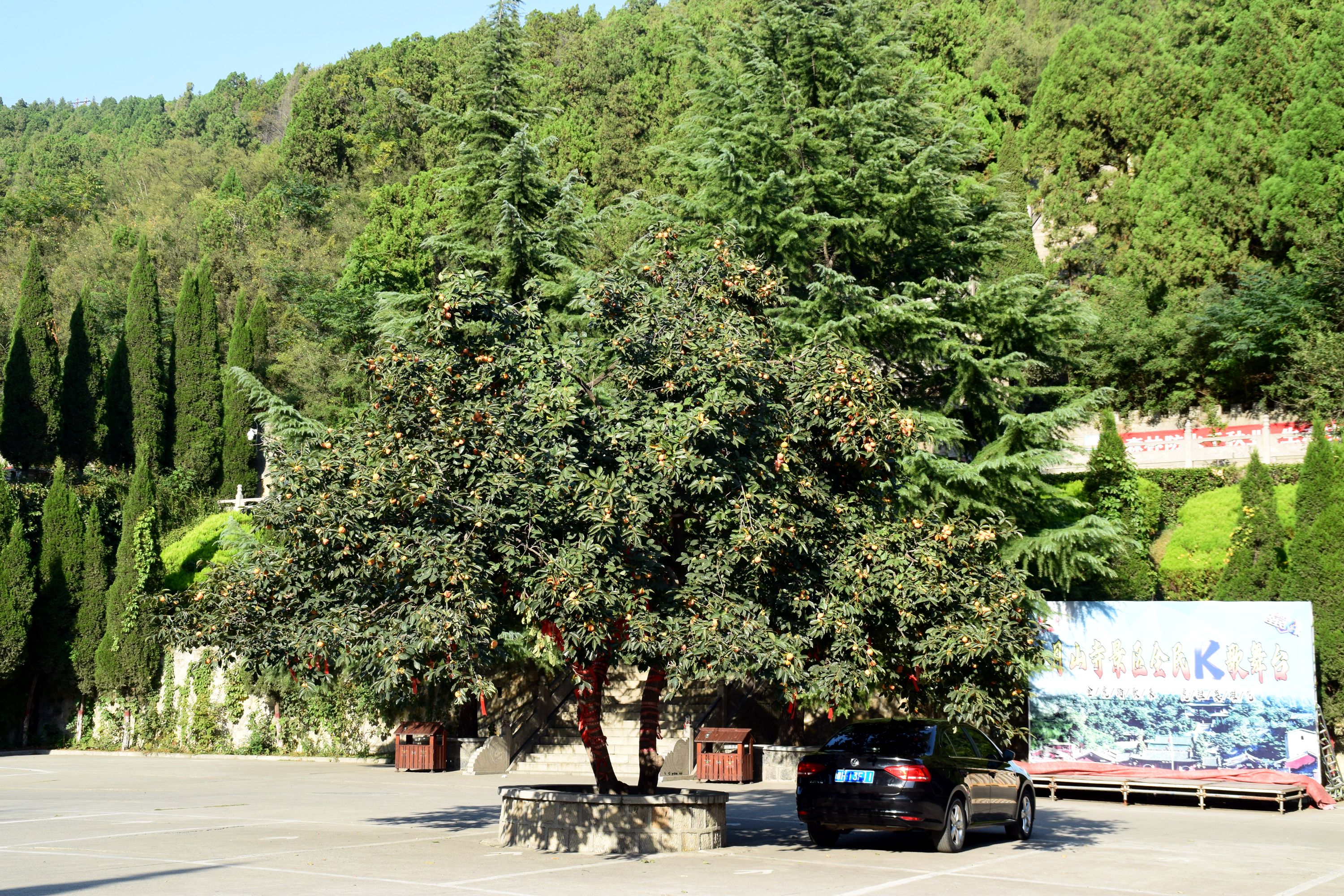 623—1.JPG