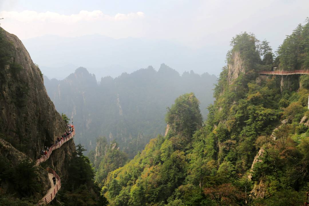 IMG_9564_鍓湰.jpg