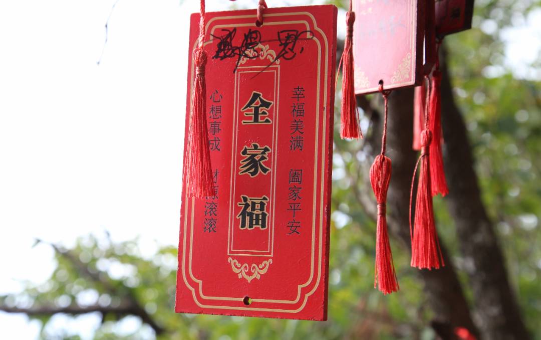 IMG_9636_鍓湰.jpg