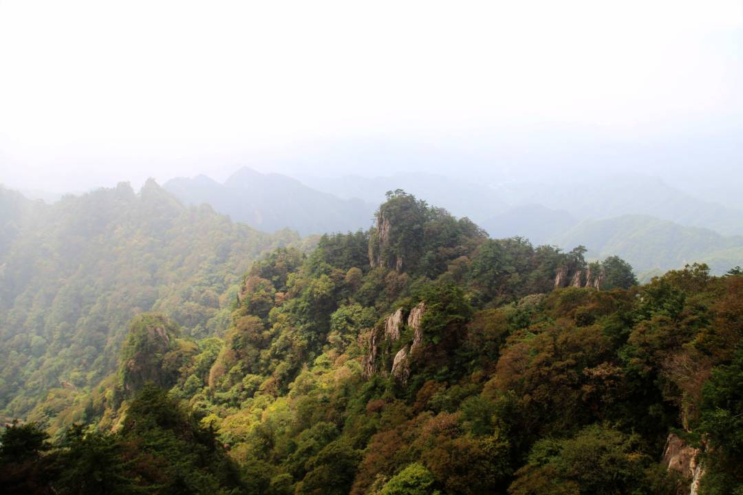 IMG_9627_鍓湰.jpg
