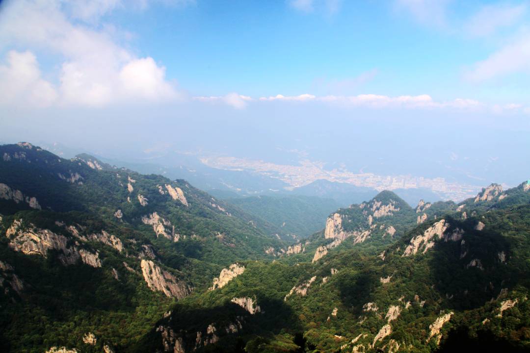 IMG_9666_鍓湰.jpg