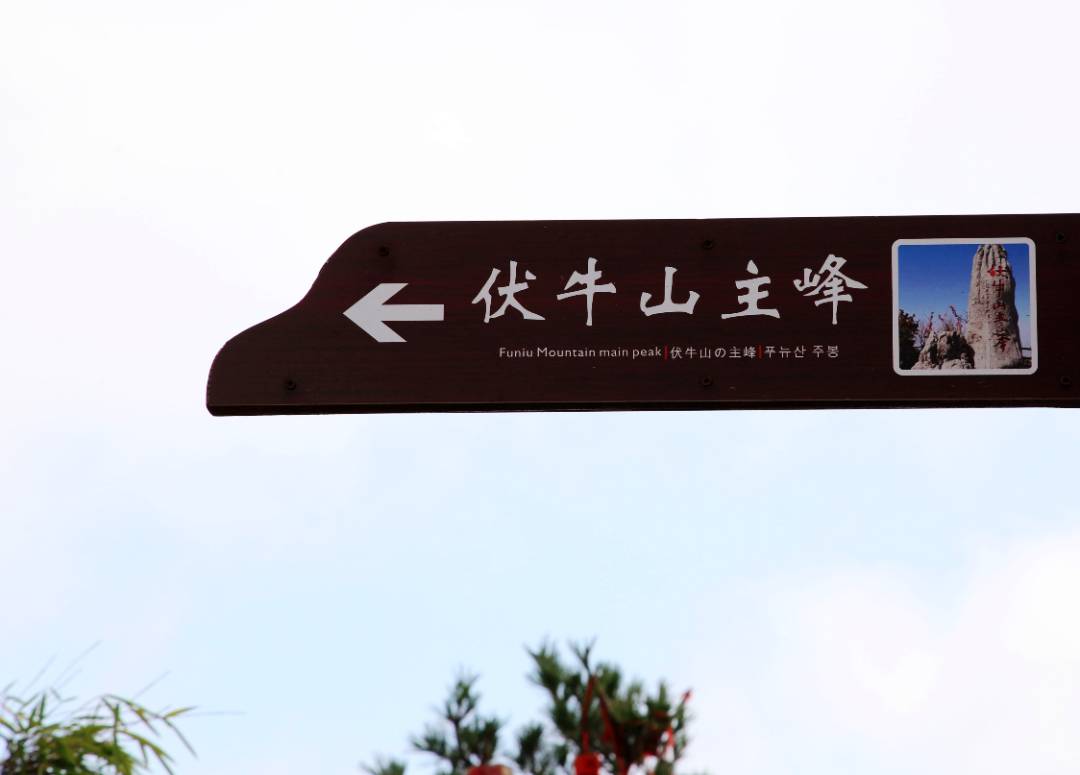IMG_9682_鍓湰.jpg