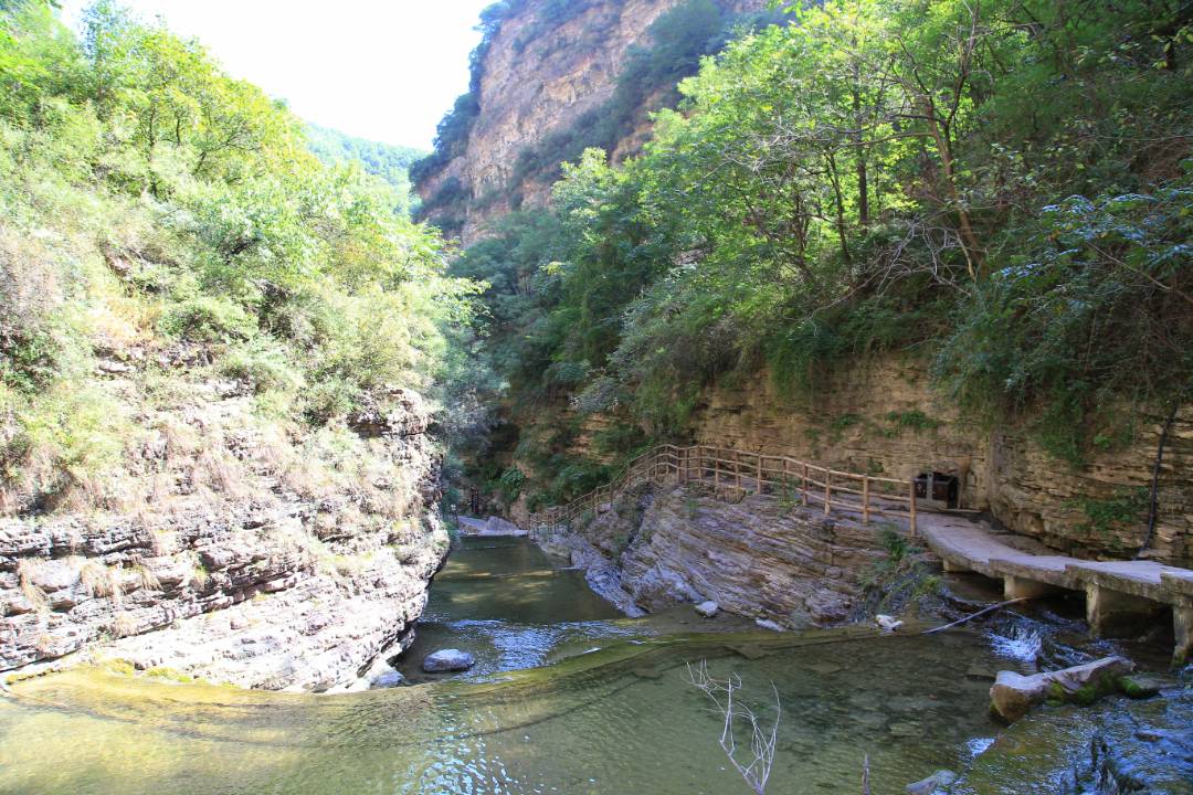 IMG_0020_鍓湰.jpg