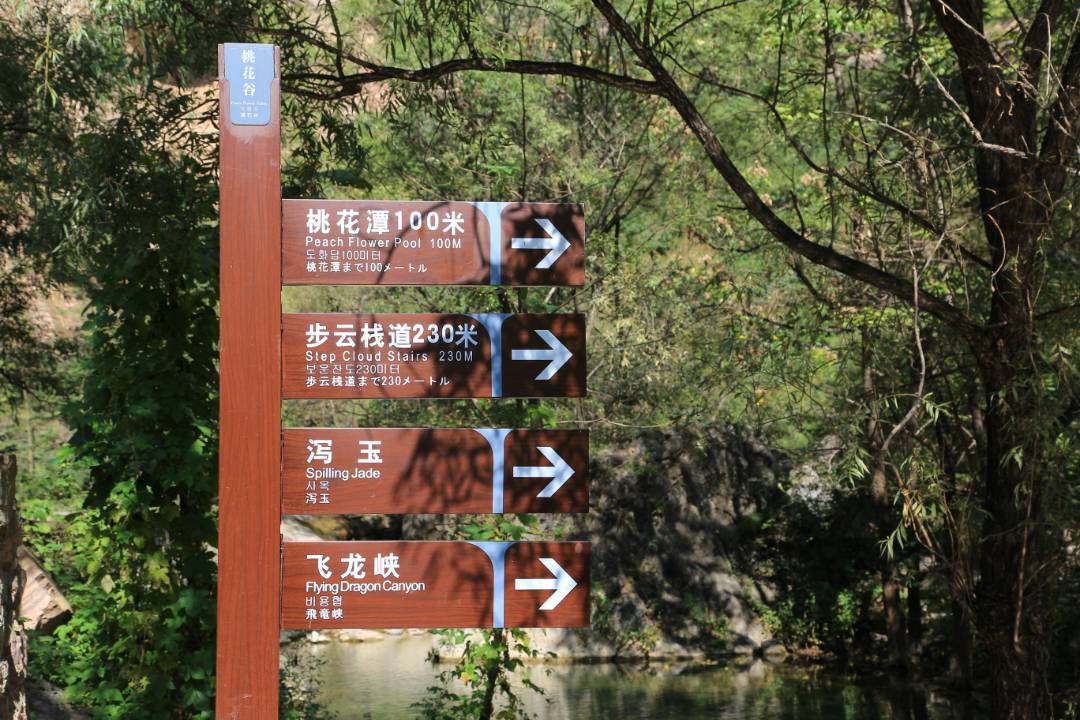 IMG_9936_鍓湰.jpg