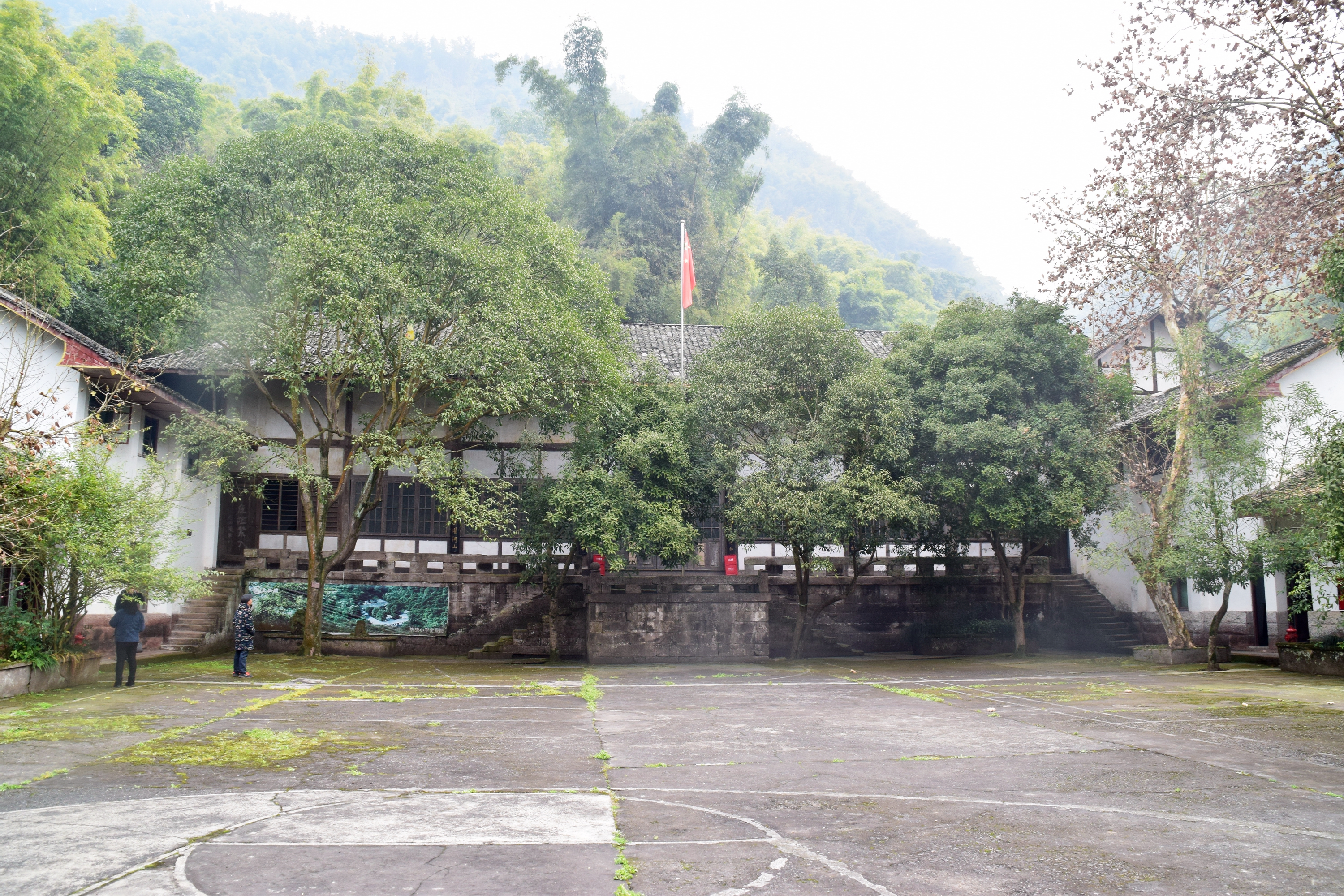 7333.JPG