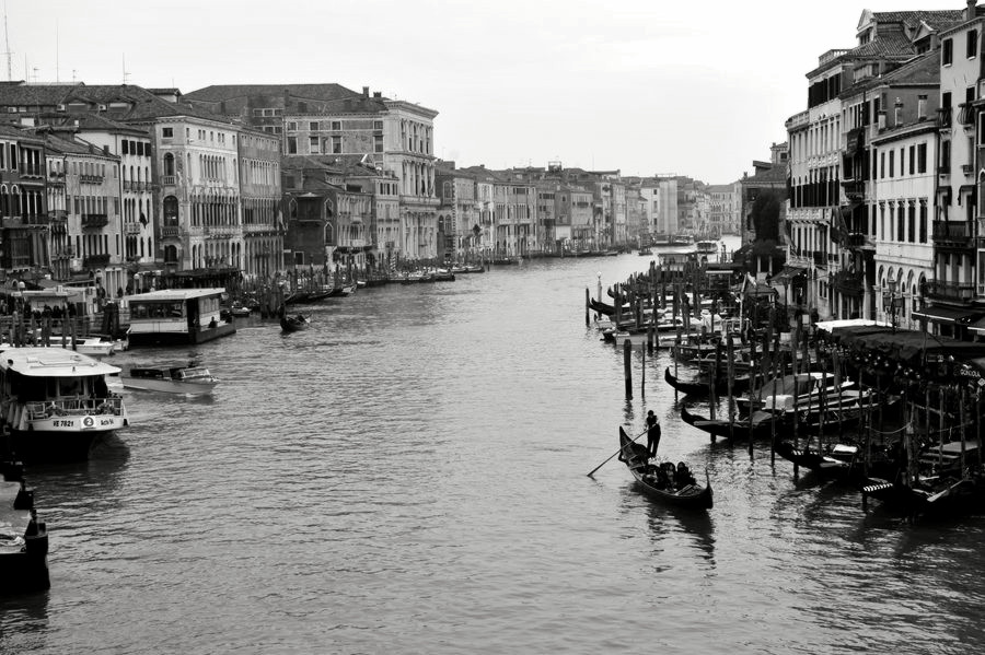 _DSC3998__.jpg