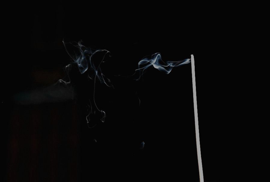 DSC_9557___.jpg