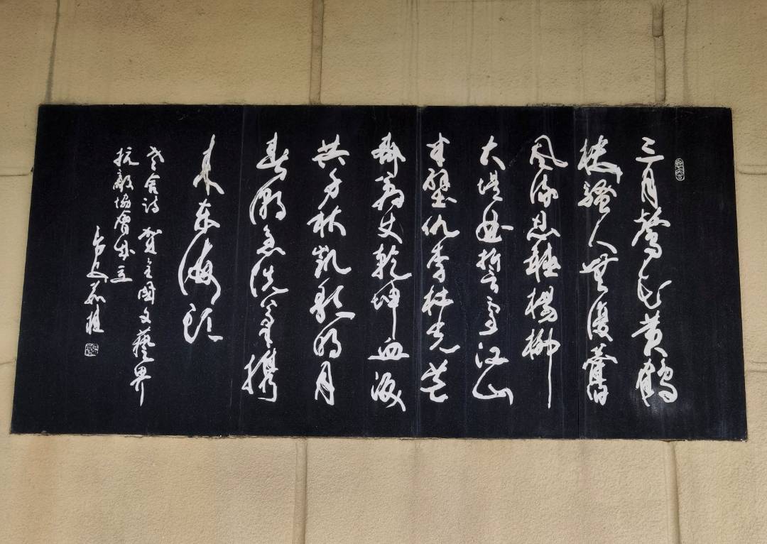 IMG_20230228_144829_edit_1407050401887902_鍓湰.jpg