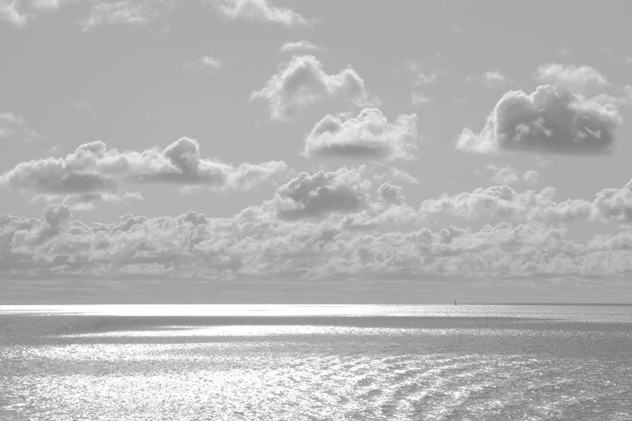 _DSC1172__.jpg