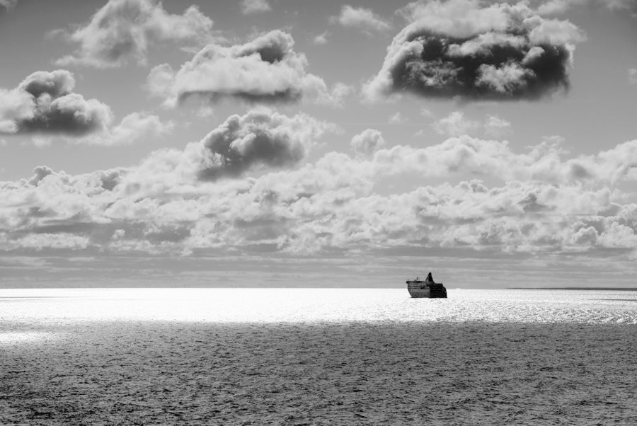 _DSC1178__.jpg