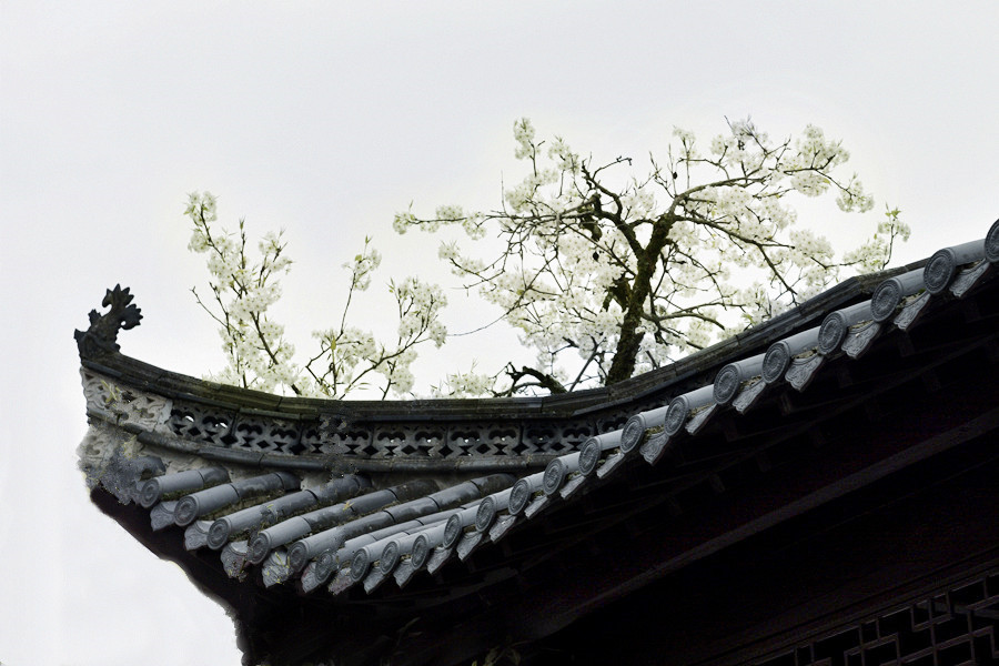 _DSC4070___.jpg
