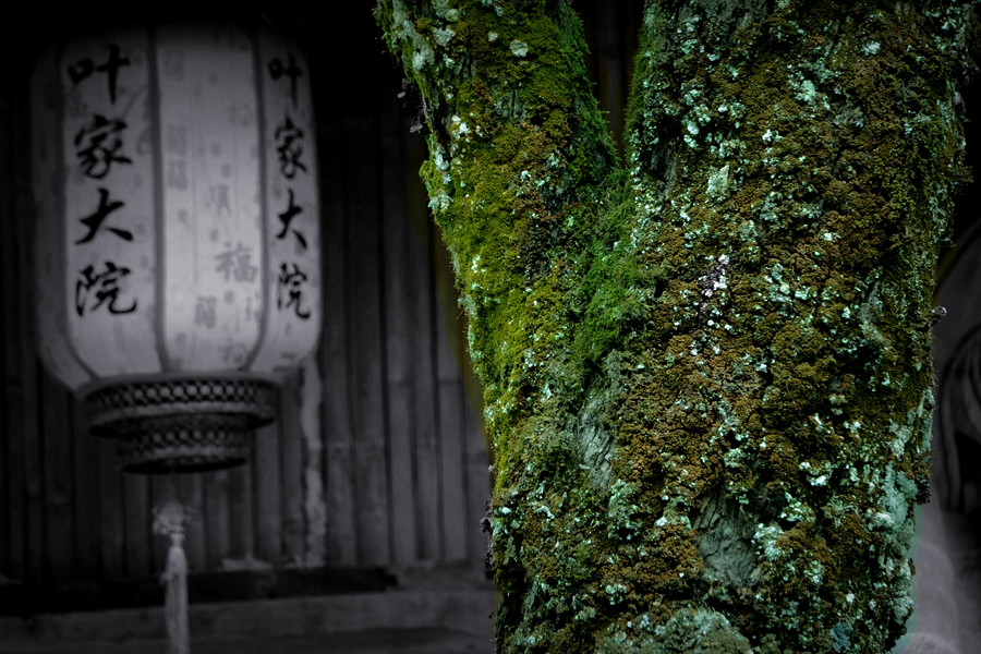 DSC_7853_副本_副本_副本_副本_副本.jpg