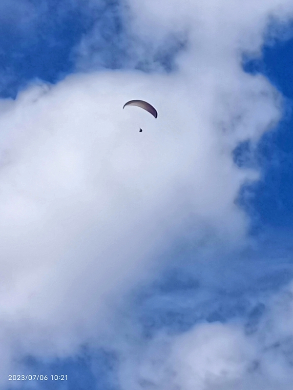 IMG_20230706_102108_.jpg
