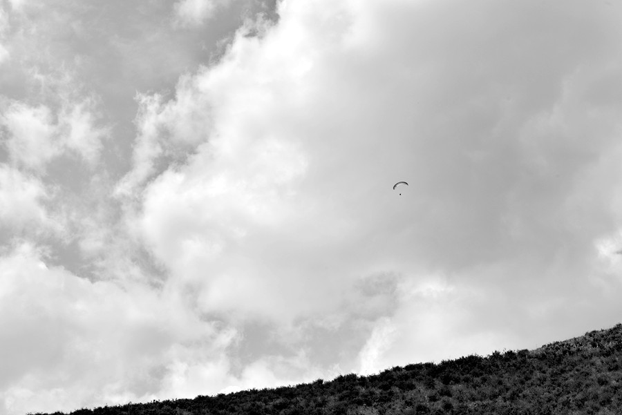 _DSC6848_副本_副本.jpg