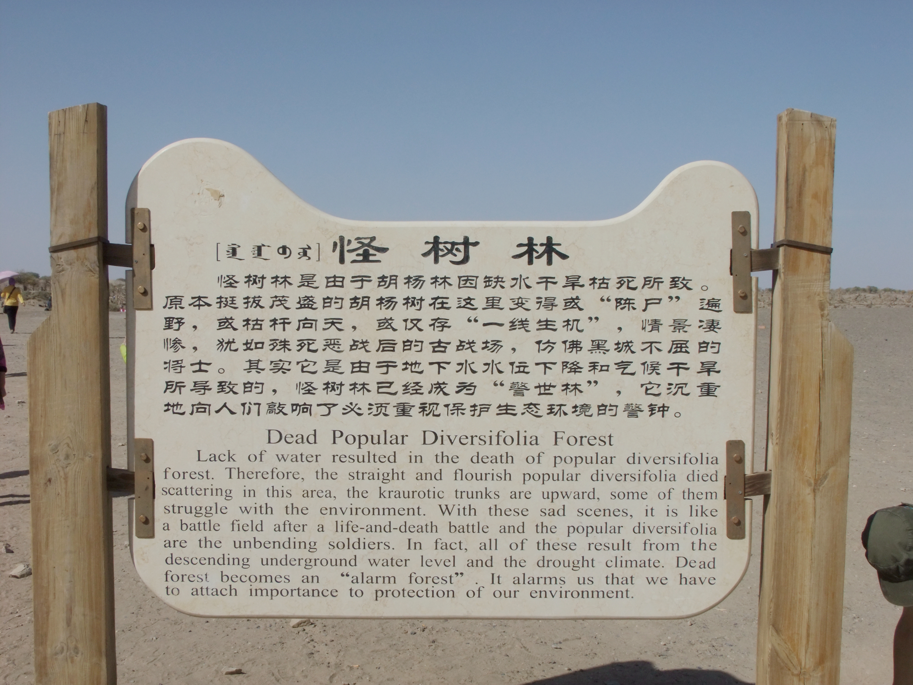 978.jpg