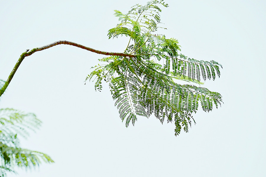 DSC_0234__.jpg