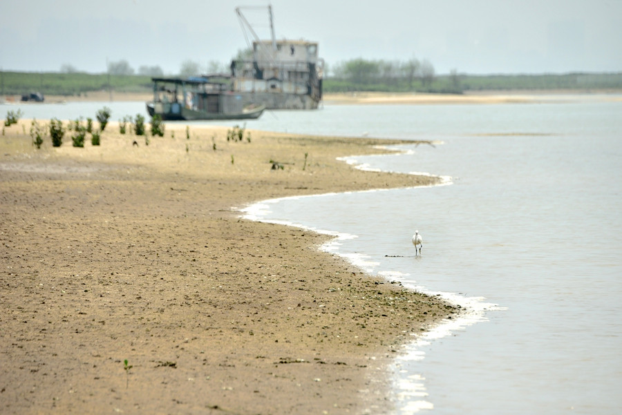 DSC_0248__.jpg