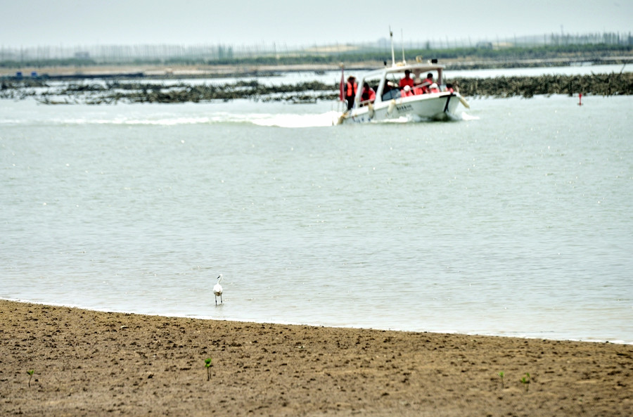 DSC_0260__.jpg