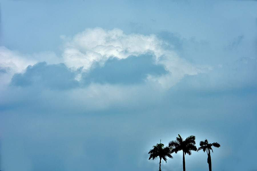 DSC_0281__.jpg