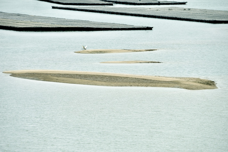 DSC_0301__.jpg