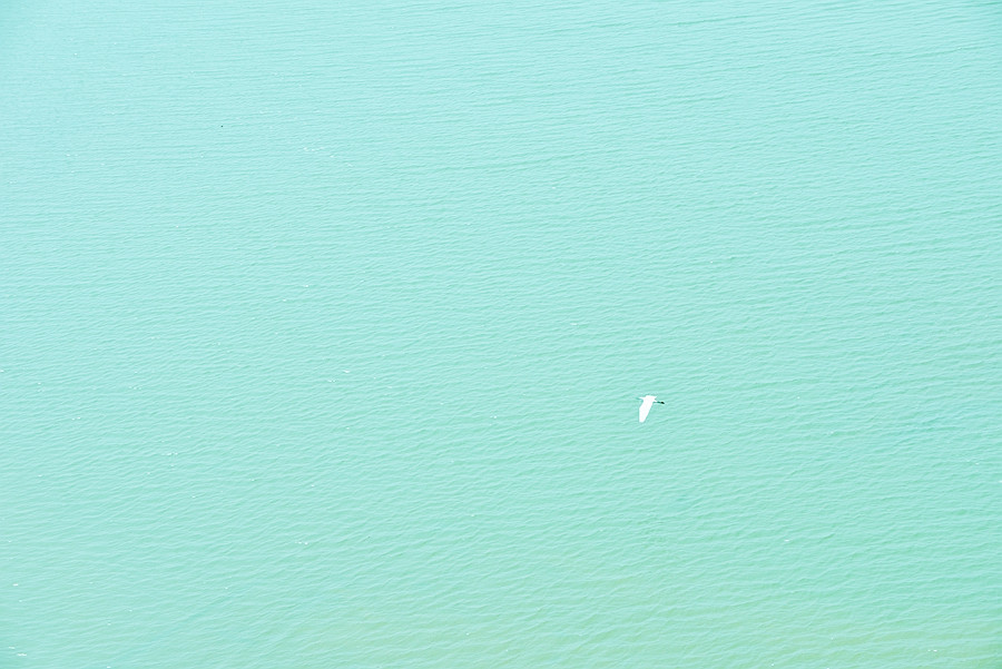 DSC_0326__.jpg