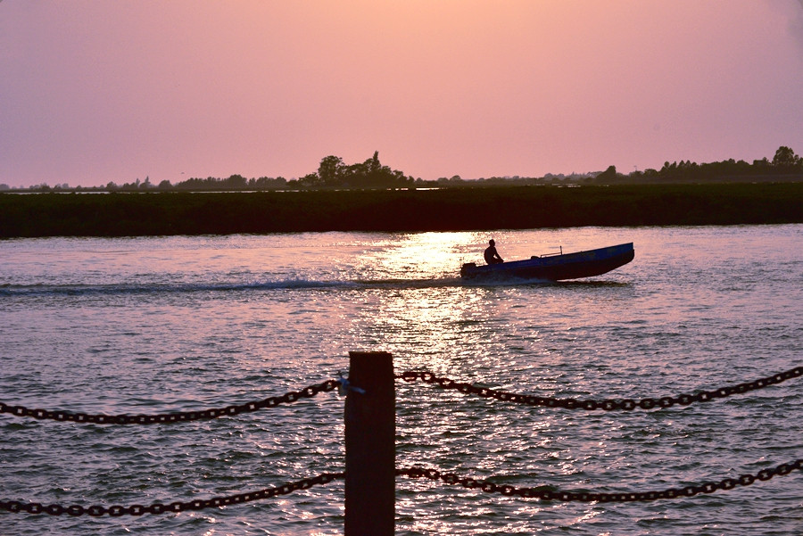 DSC_0383__.jpg