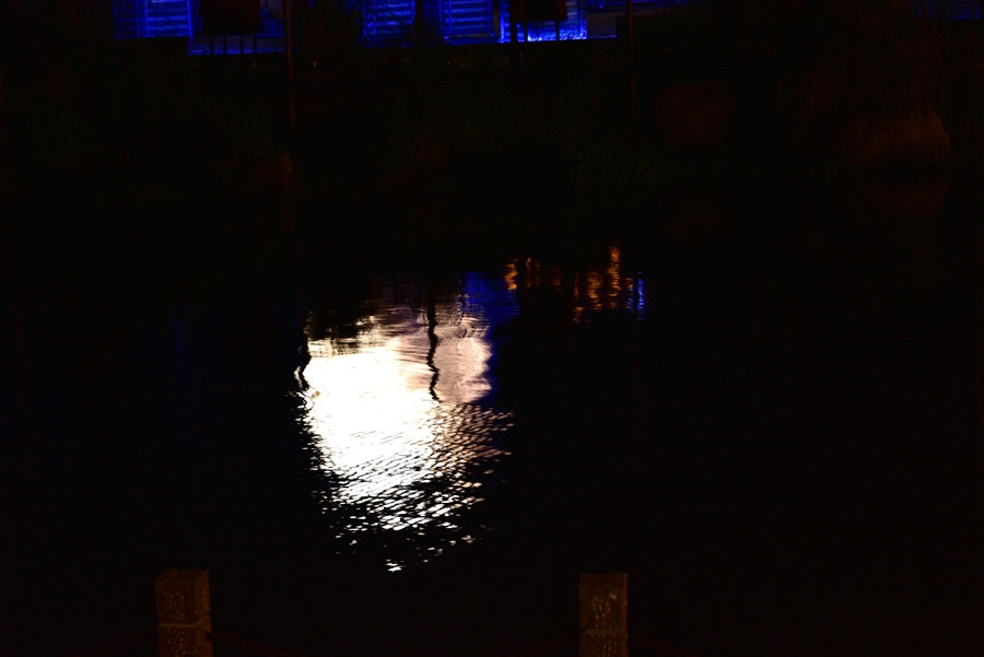 DSC_0561__.jpg