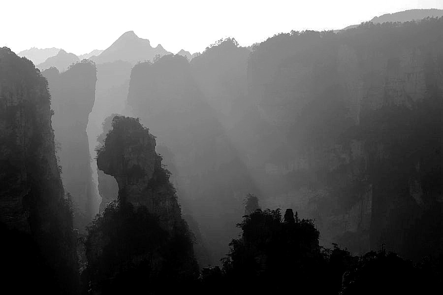 _DSC0103_副本_副本_副本_副本.jpg