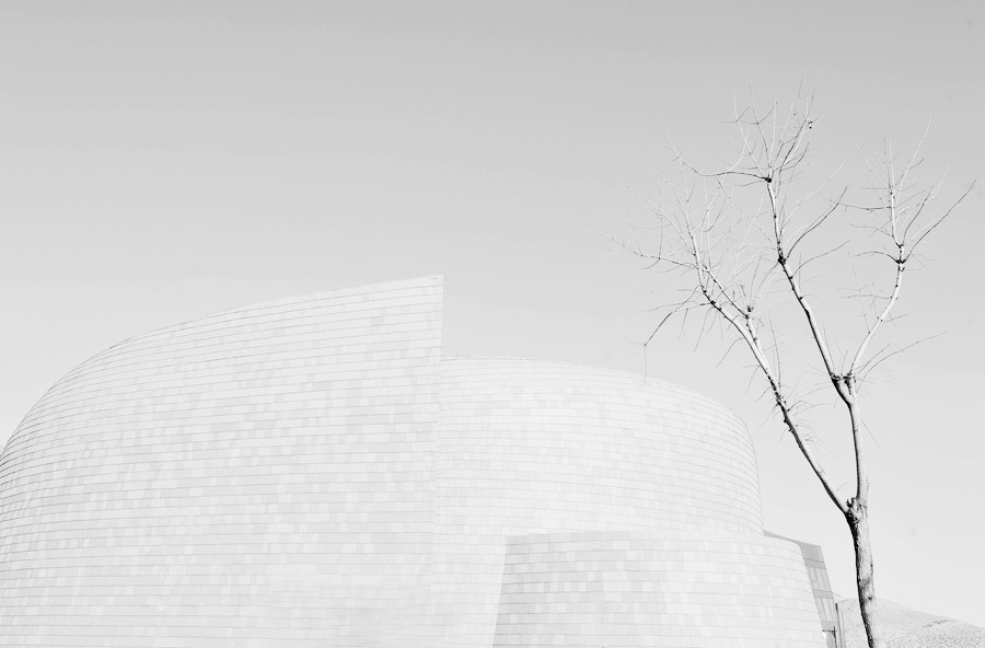 _DSC3272_副本_副本.jpg