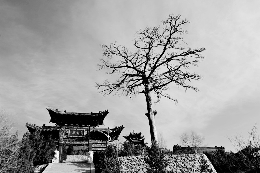 _DSC3452_副本_副本.jpg