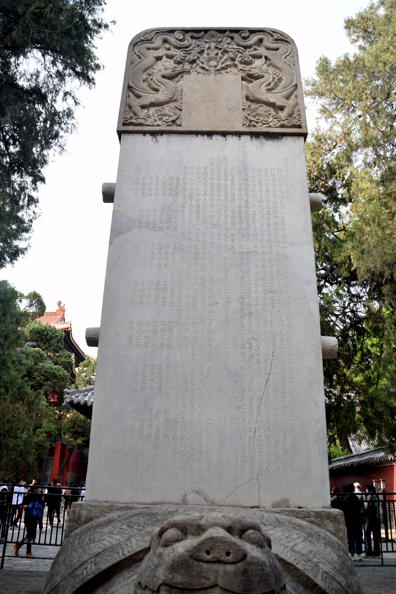 11973.JPG
