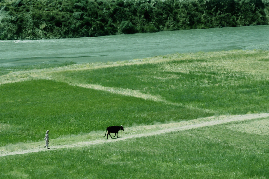 _DSC5445__.jpg