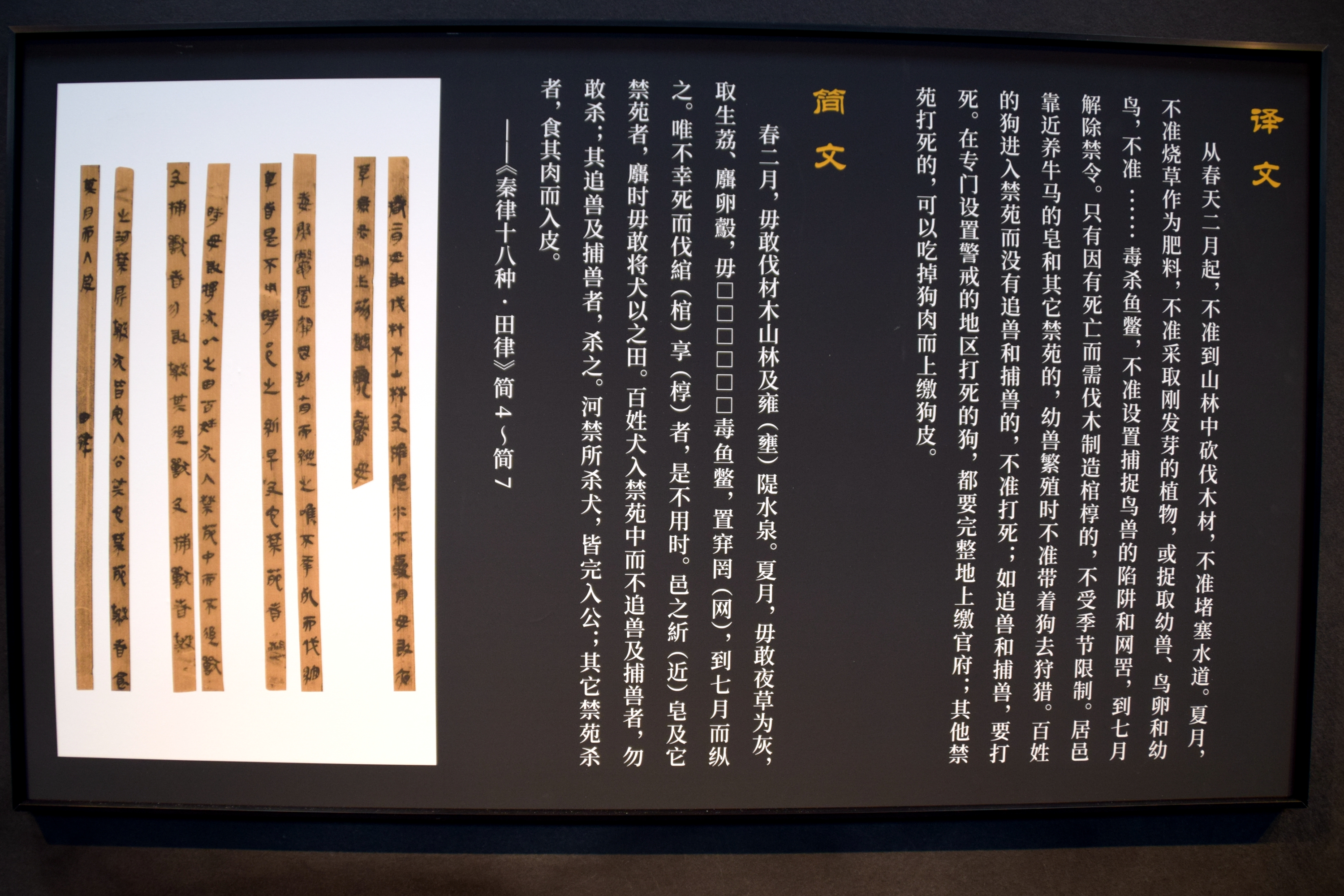 1319—3.JPG