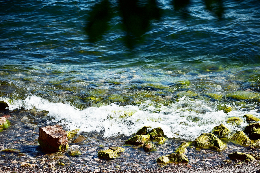 DSC_0639__.jpg
