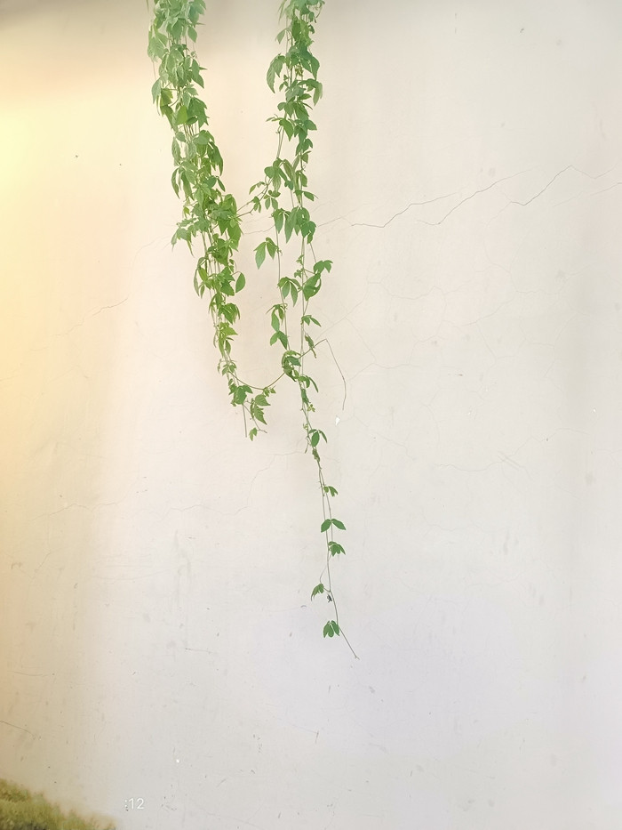 IMG_20241204_161247_副本_副本.jpg