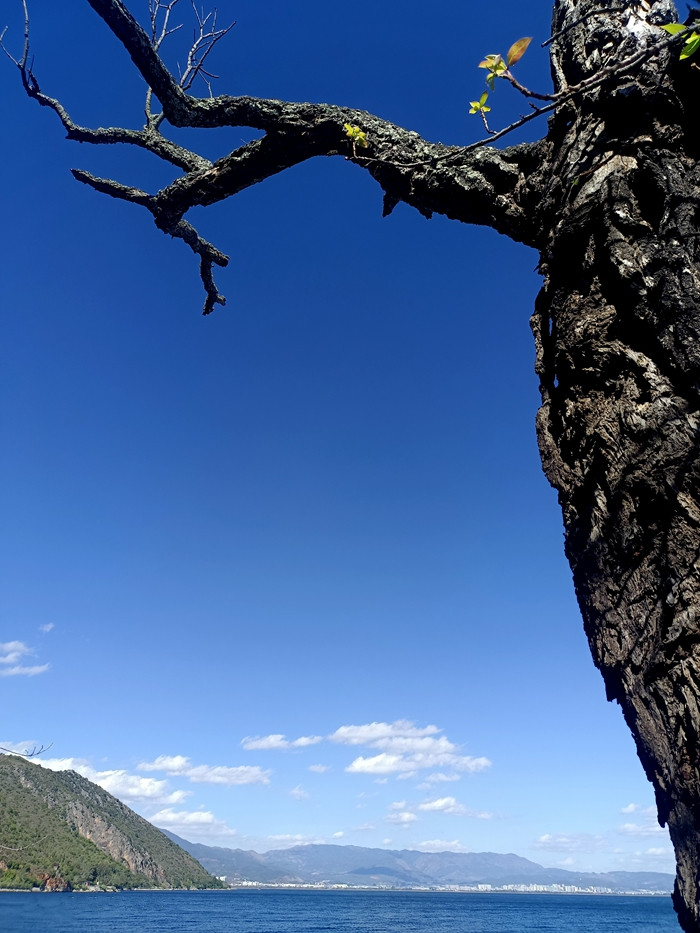 IMG_20241207_134628_副本_副本.jpg