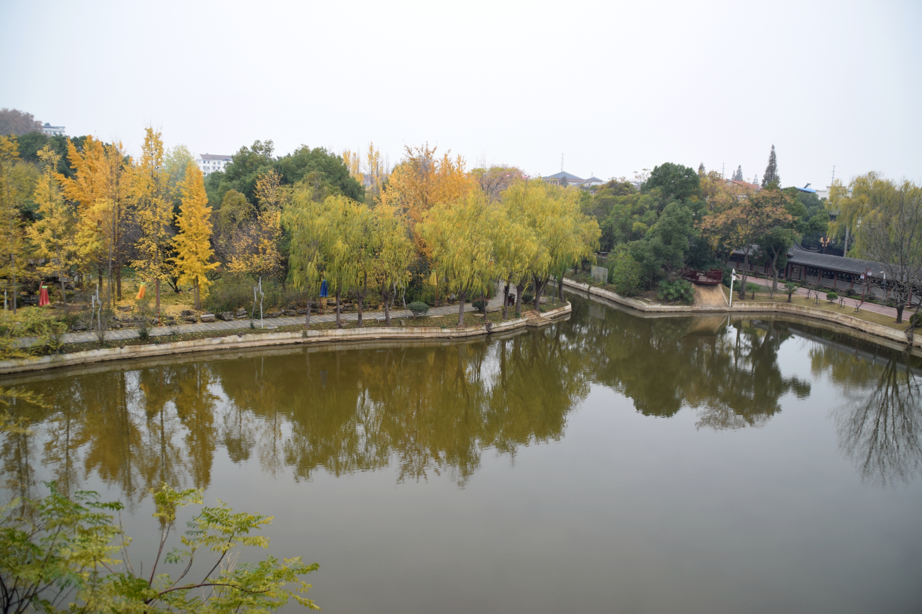 1365—1.JPG