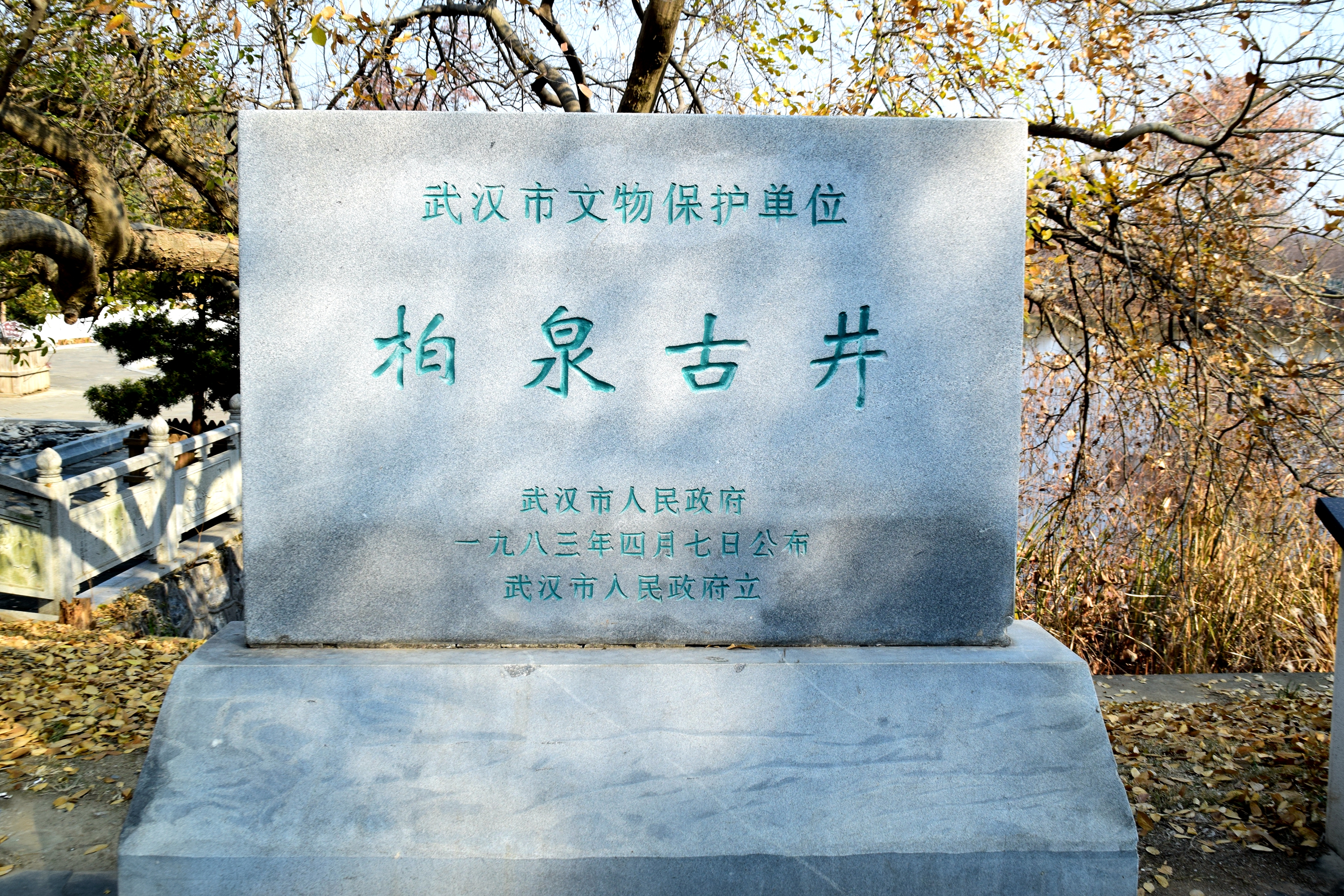1402—1.JPG