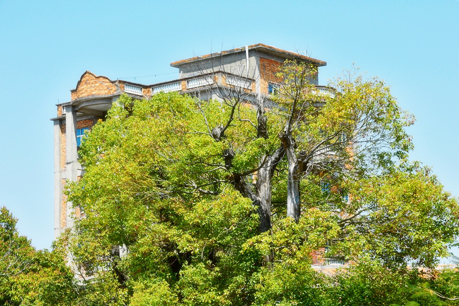 DSC_0194_副本_副本.jpg