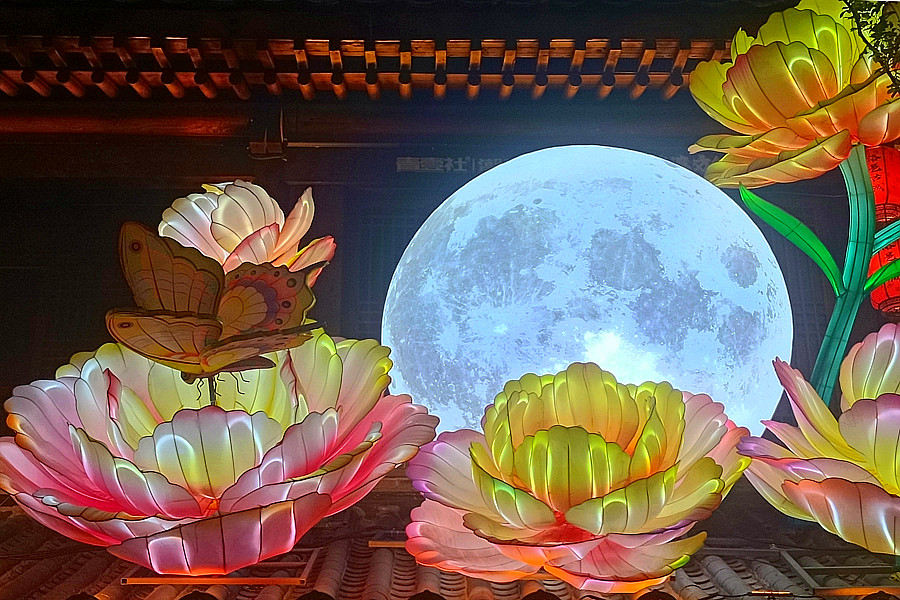 IMG_20250423_193338_副本_副本.jpg