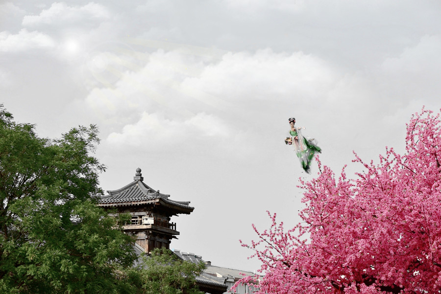 DSC_0159_副本_副本.jpg