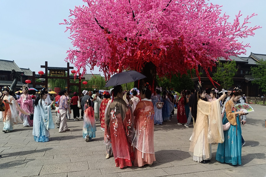IMG_20250419_143911_副本_副本.jpg
