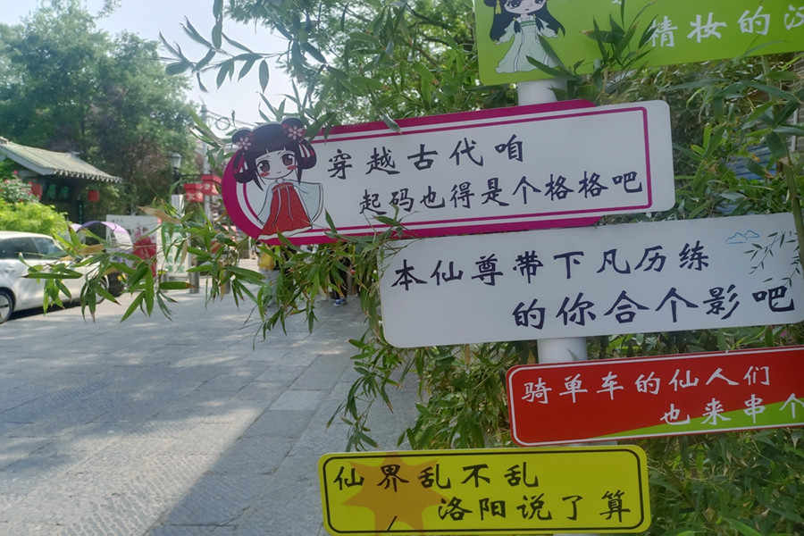 IMG_20250420_100439_副本_副本.jpg