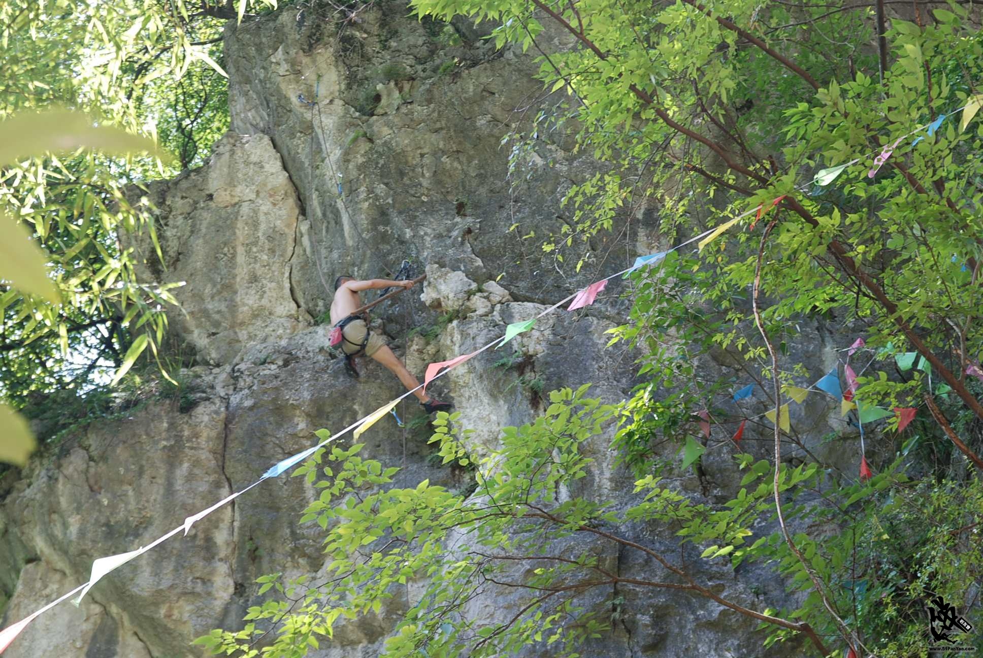 DSC_0242.jpg