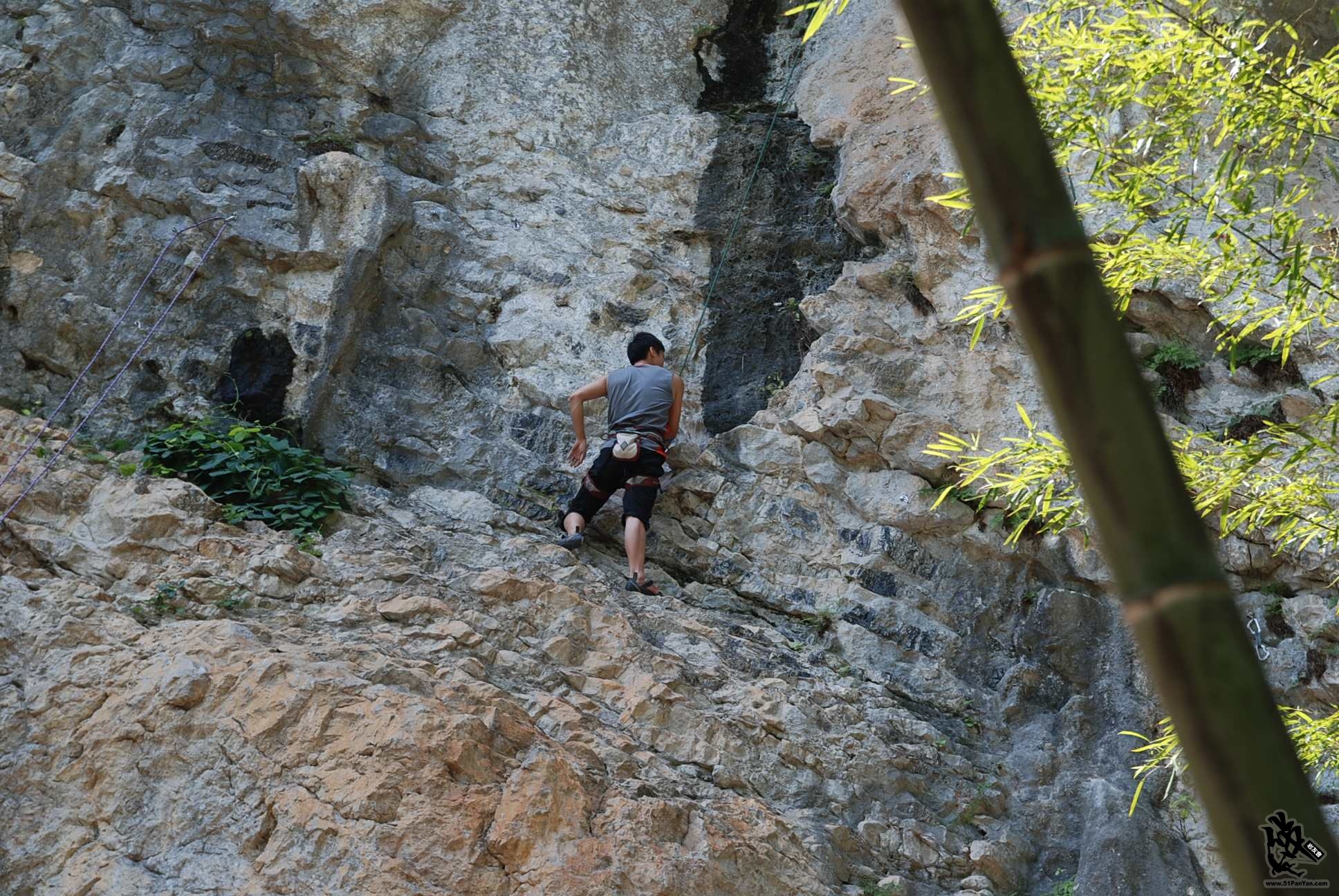DSC_0309.jpg