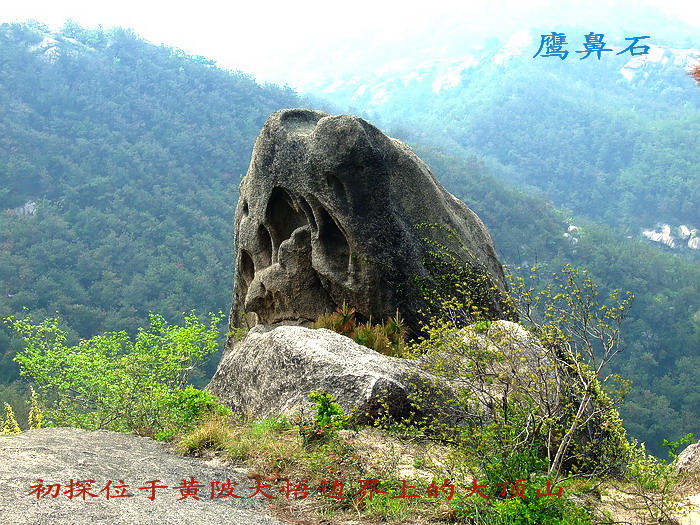 2008413162742.jpg