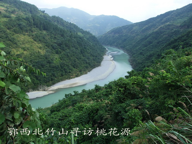 2007820161618.jpg