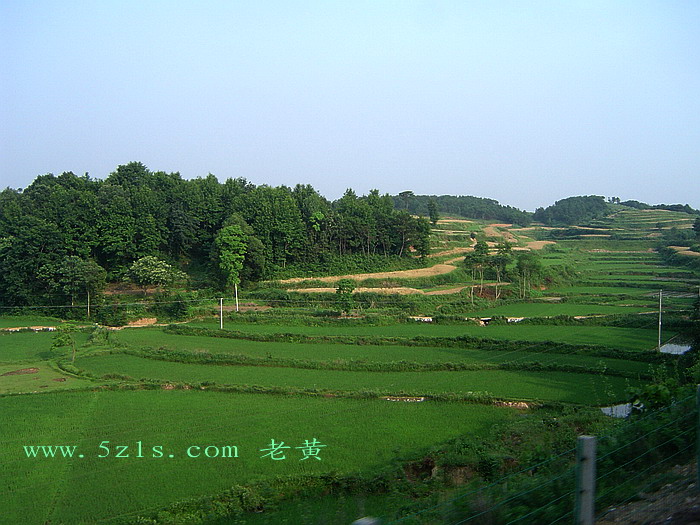 DSC00095.jpg