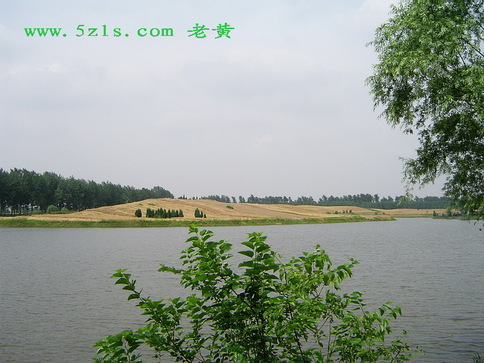 DSC00071.jpg